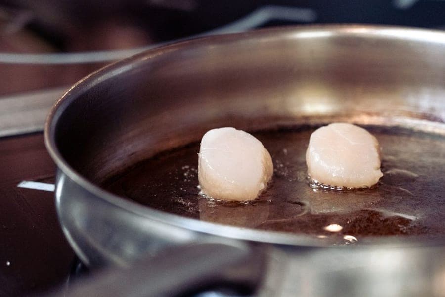 Ply & Pan — Stainless steel cookware